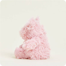 Load image into Gallery viewer, Pig Warmies Junior