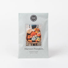 Load image into Gallery viewer, Harvest Pumpkin Sachet
