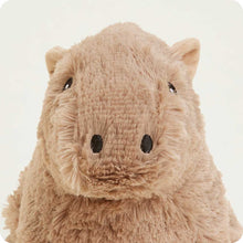 Load image into Gallery viewer, Capybara Warmies