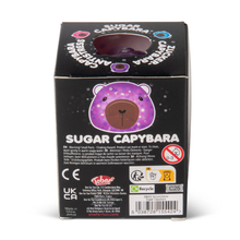 Load image into Gallery viewer, Scrunchems® Sugar Capybara Squishy Fidget Toy (1pc) Assorted