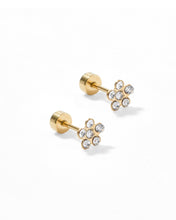 Load image into Gallery viewer, Screwback Stud Earrings - Lyla - Clear