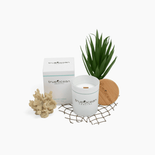 Load image into Gallery viewer, Coastal Candle - 5 oz.