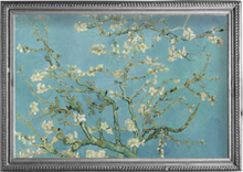 Load image into Gallery viewer, RainCaper - Fine Art RainCaper - van Gogh "Almond Blossom"