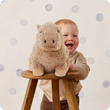 Load image into Gallery viewer, Capybara Warmies
