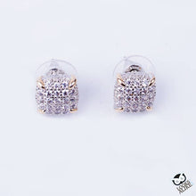 Load image into Gallery viewer, Crystal Stud Earrings
