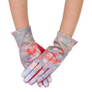HASSAM CELIA’S GARDEN/ISLES OF SHOALS TEXTING GLOVES