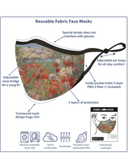Load image into Gallery viewer, RAINCAPER DEGAS THE DANCE FOYER REUSABLE FABRIC FACE MASK

